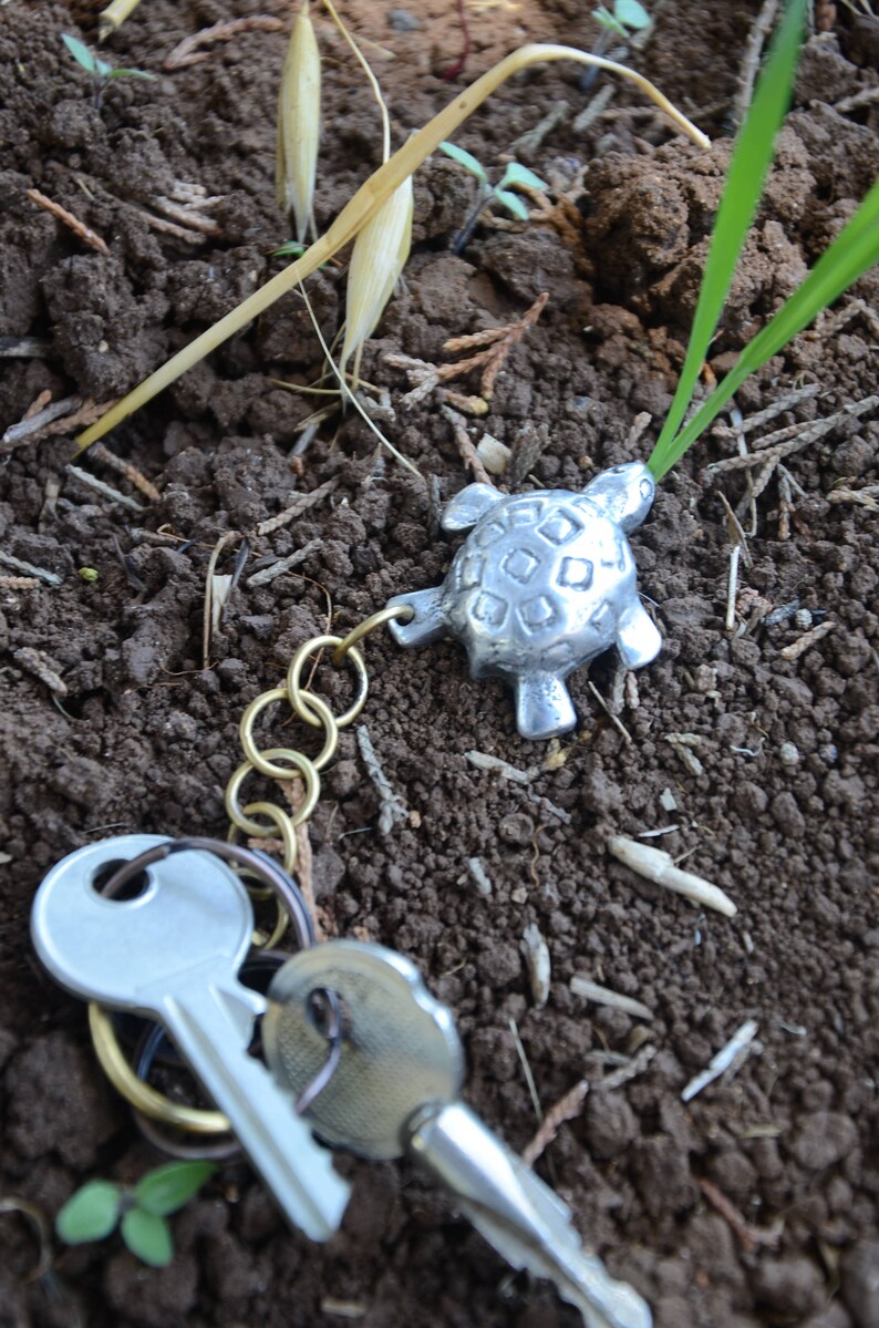 Turtle Turtle keychains Turtle charm Live animals Turtle Etsy