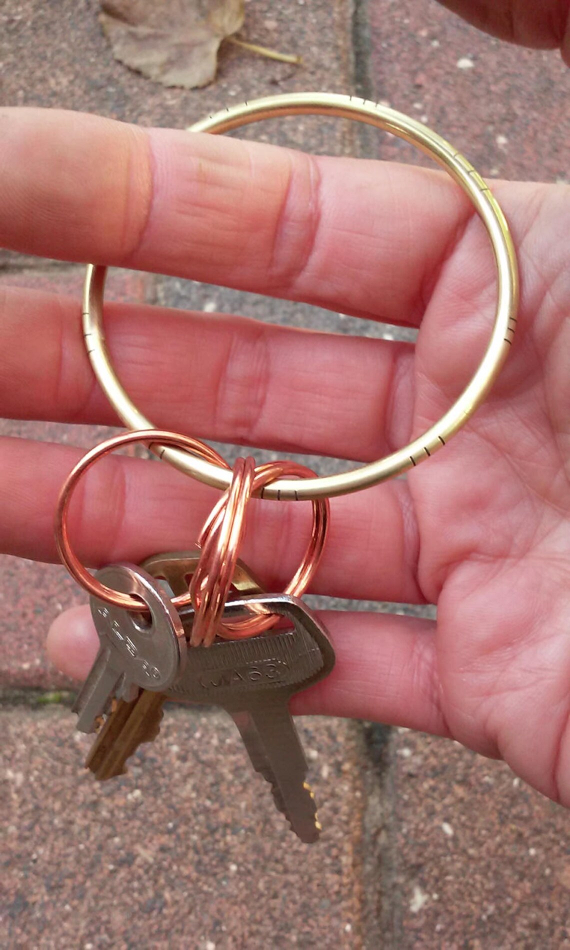 Hoop Key Chain, Metal Hoop Keychain, Big Hoop for Keys, Hoop Key Holder