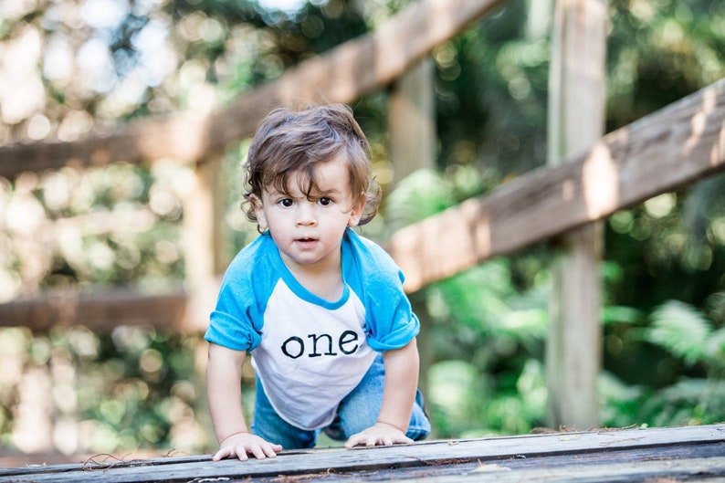 1st Birthday Shirt Boy First Birthday Shirt One Shirt Boys First Birthday Im One Cake Smash Shirt 1st Birthday Boy First Birthday Outfit