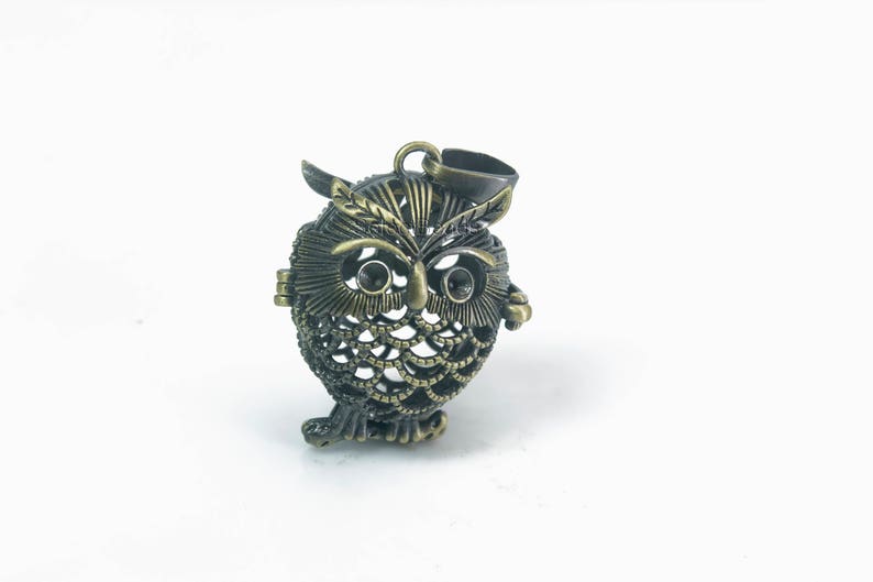Owl Metal Brass Memory Locket Cute Animal Locket Pendant | Etsy