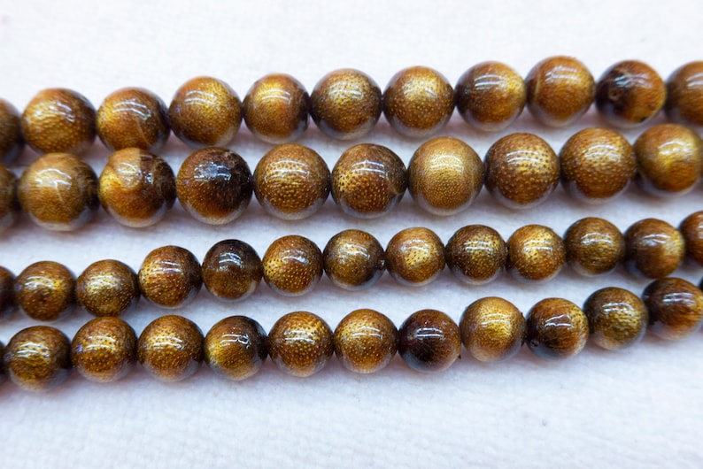 Golden Coral Smooth Round Beads Natural Coral Gemstone Beads Etsy