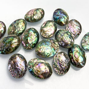 May include: A collection of oval-shaped abalone shells with iridescent green, blue, and purple hues. The shells are smooth and polished, with a natural, organic texture.