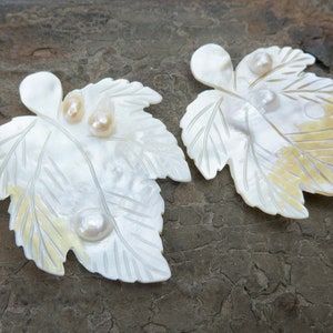 Ahornblatt Muschel Charms - Pflanzen Anhänger zur Schmuckherstellung - geschnitzte Muschel Charms - Schmuckherstellung