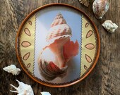 Treasure of the Sea Eco-resin Portal one of a kind handmade diorama mixed media Irish art