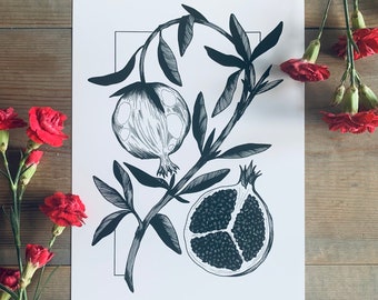 Pomegranate : A4 giclée art print, matte finish / botanical illustration