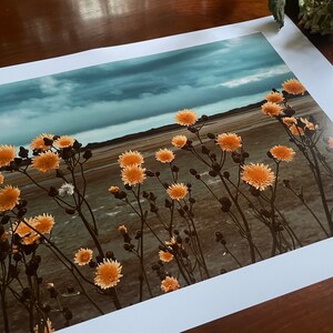 Golden Blooms, Heavy Sky : A3 giclée art print, satin finish / Northern Irish artist / County Down / Dundrum / boho image 2