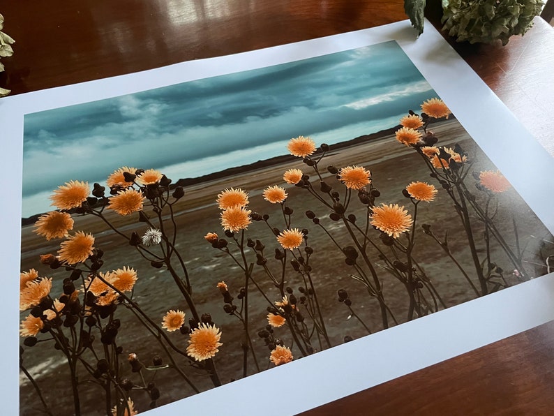 Golden Blooms, Heavy Sky : A3 giclée art print, satin finish / Northern Irish artist / County Down / Dundrum / boho image 2