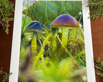 Parrot Waxcaps : A4 giclée art print, satin finish / macro photography / Northern Irish artist