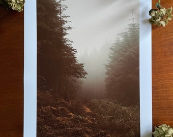 Petrichor : A3 giclée art print, satin finish / County Down Northern Ireland / atmospheric / botanical / moody