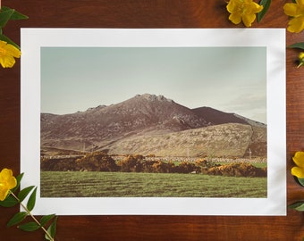 Slieve Binnian : A3 giclée art print, matte finish / Northern Ireland / area of outstanding natural beauty / Irish landscape