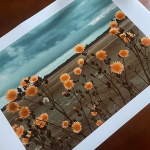 Golden Blooms, Heavy Sky : A3 giclée art print, satin finish / Northern Irish artist / County Down / Dundrum / boho image 5