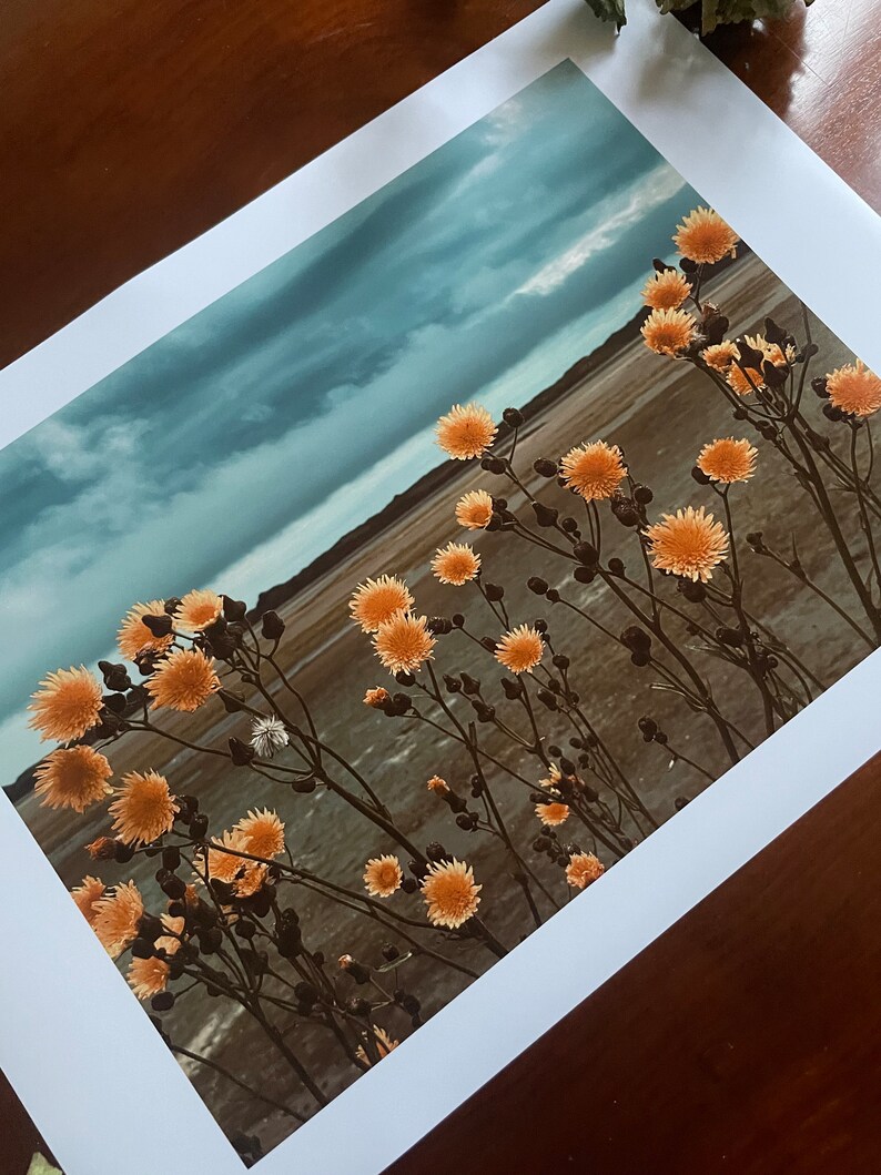 Golden Blooms, Heavy Sky : A3 giclée art print, satin finish / Northern Irish artist / County Down / Dundrum / boho image 5