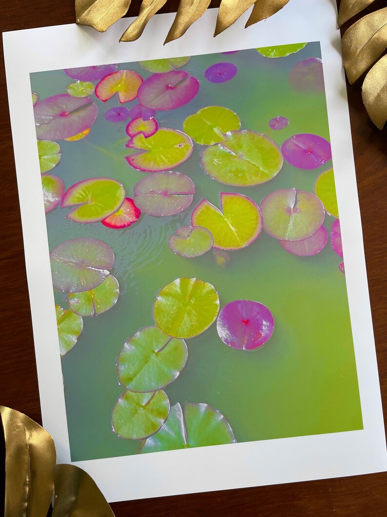 Lily Pads : A3 giclée art print, satin finish / fine art photography image 3