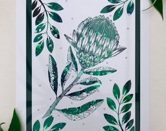 Protea Flower : A3 giclée print, gloss finish / botanical illustration / plant lovers, urban jungle / boho