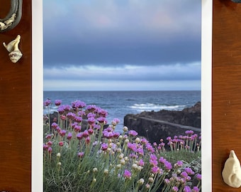 Sea Pinks : A3 giclée art print, satin finish / sea thrift, St. John's Point, Northern Ireland