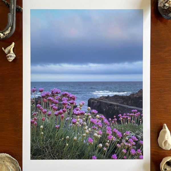 Sea Pinks : Impression d’art giclée A3, finition satinée / coupe marine, St. John’s Point, Irlande du Nord
