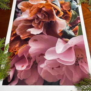 Camellia In Life And Death : A3 giclée art print, satin finish / macro photography / Northern Irish artist / natural world / boho wall art image 4