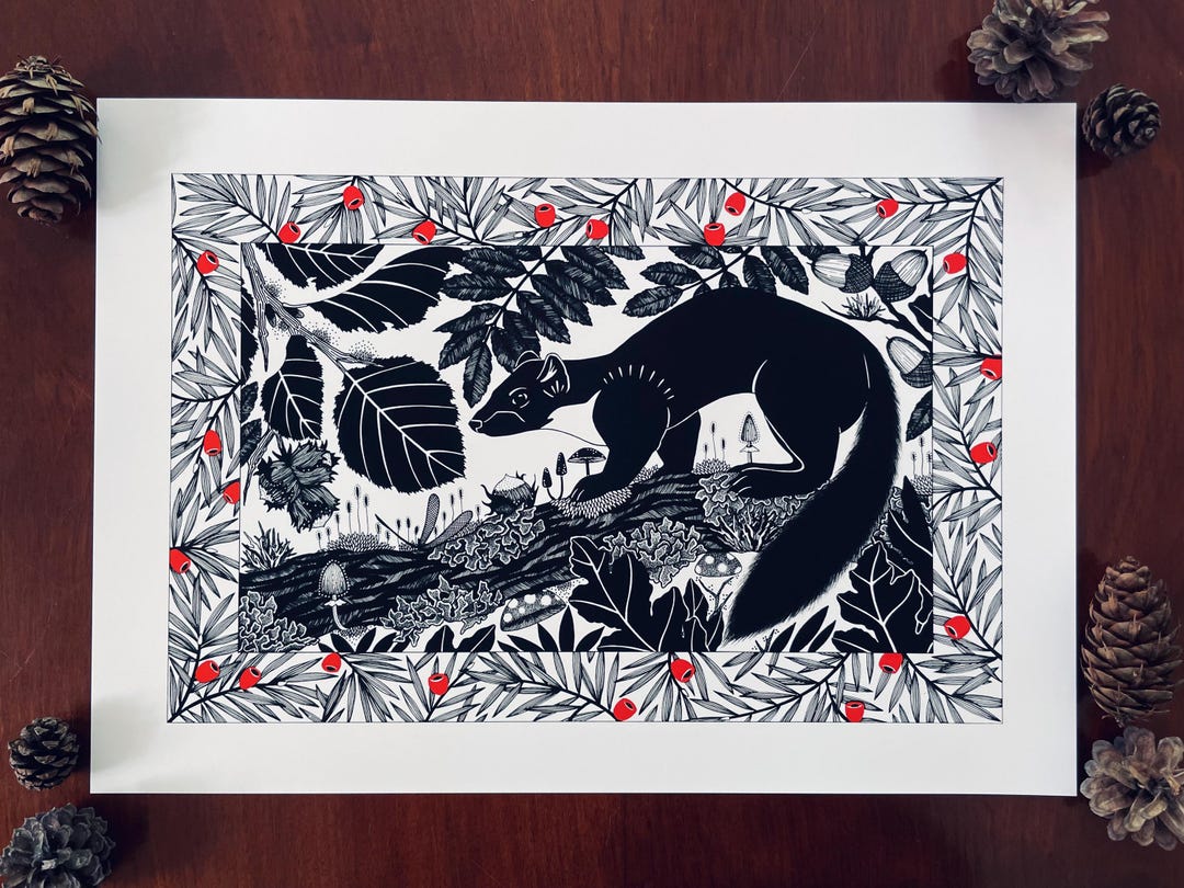 Pine Marten A3 Giclée Art Print, Matte Finish / Northern Ireland