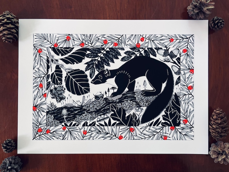 Pine Marten A3 Giclée Art Print, Matte Finish / Northern Ireland
