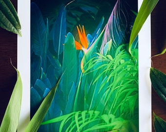 Shangri-la : A3 giclée art print, gloss finish / botanical photography / plant lovers / urban jungle / houseplants