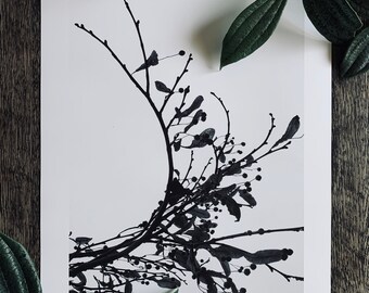 Winter Minimalism : A3 giclée art print, matte print / botanical photography / greyscale