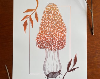 Morel : Tirage d’art giclée A3, finition satinée / illustration botanique