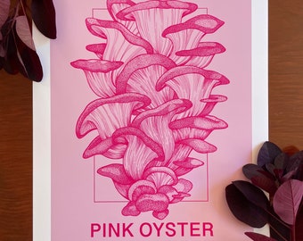 Pink Oyster Mushrooms : A3 giclée art print, satin finish / botanical illustration / Irish Artist