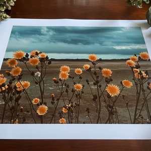 Golden Blooms, Heavy Sky : A3 giclée art print, satin finish / Northern Irish artist / County Down / Dundrum / boho image 3