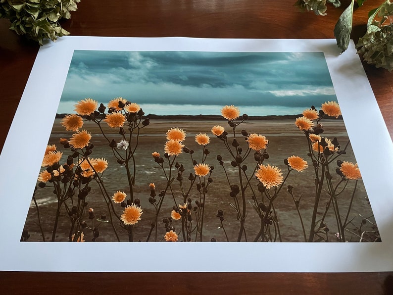 Golden Blooms, Heavy Sky : A3 giclée art print, satin finish / Northern Irish artist / County Down / Dundrum / boho image 3