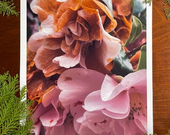 Camellia - In Life And Death : A3 giclée art print, satin finish / macro photography / Northern Irish artist / natural world / boho wall art