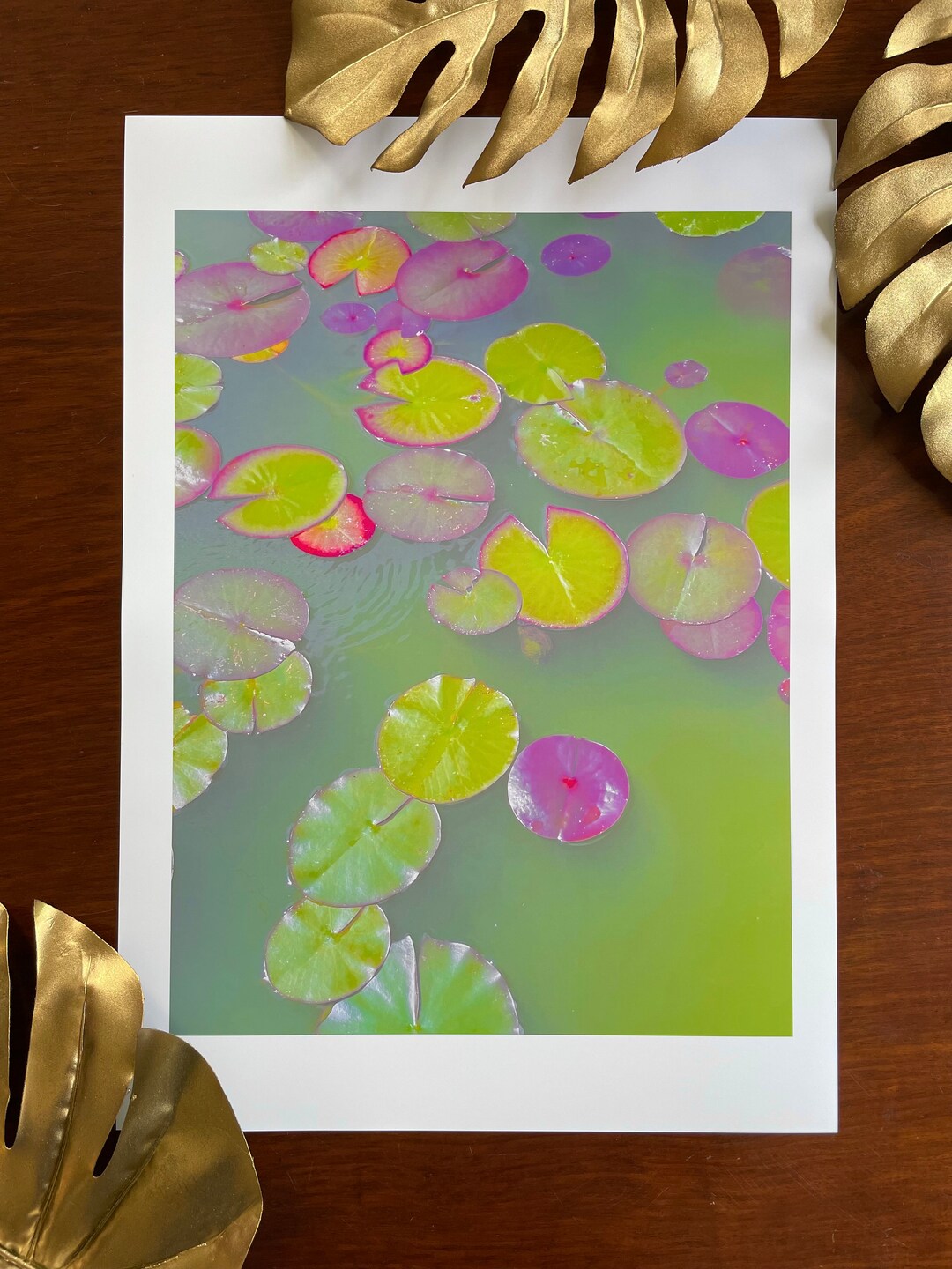 Lily Pads : A3 Giclée Art Print, Satin Finish / Fine Art Photography - Etsy