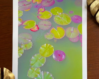 Lily Pads : A3 giclée art print, satin finish / fine art photography