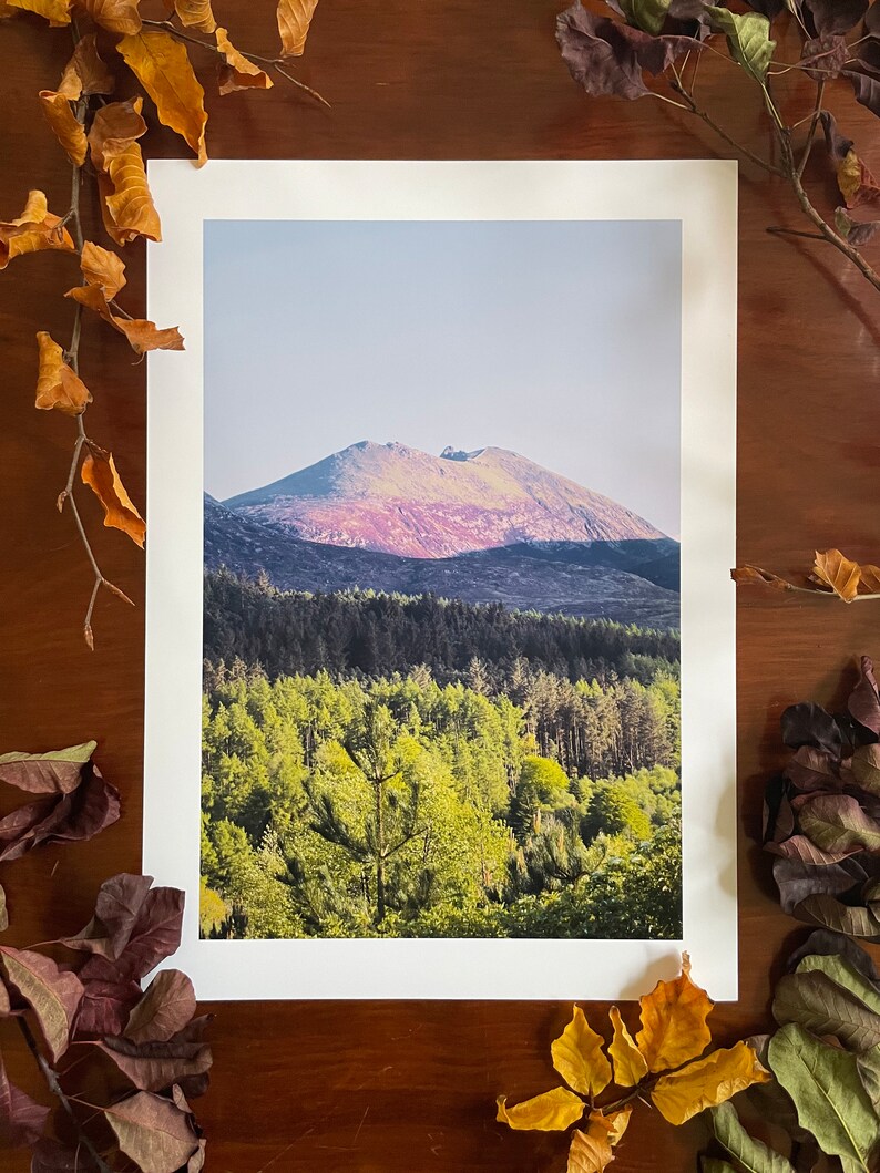 Slieve Binnian In The Summer Sun / Artista nordirlandese / Area di straordinaria bellezza naturale immagine 1