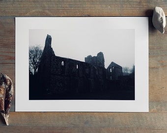 Grey Abbey, morning fog - January 2016 : A4 giclée art print, matte finish / Irish artist / landscape photography