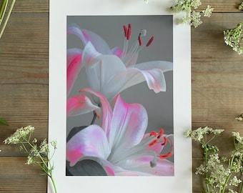 Lily White : A4 giclée art print, matte finish / botanical photography