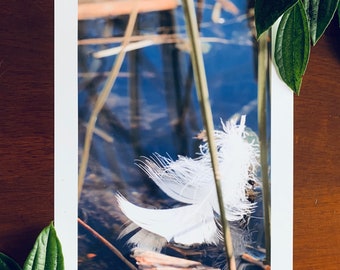 Where Wild Swans Nest : A3 giclée art print, gloss finish / fine art photography
