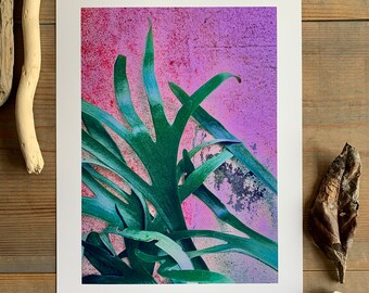 Staghorn Fern : A4 giclée art print, matte finish / botanical photography