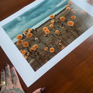 Golden Blooms, Heavy Sky : A3 giclée art print, satin finish / Northern Irish artist / County Down / Dundrum / boho image 4