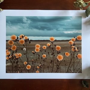 Golden Blooms, Heavy Sky : A3 giclée art print, satin finish / Northern Irish artist / County Down / Dundrum / boho image 1