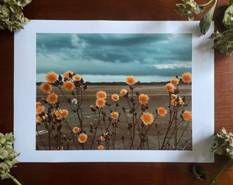 Golden Blooms, Heavy Sky : A3 giclée art print, satin finish / Northern Irish artist / County Down / Dundrum / boho