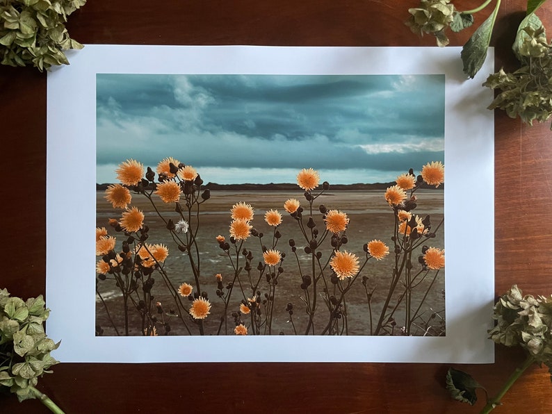 Golden Blooms, Heavy Sky : A3 giclée art print, satin finish / Northern Irish artist / County Down / Dundrum / boho image 1