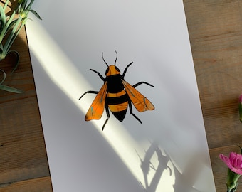 Honey Bee - A4 giclée art print , wildlife illustration