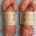 Coral ~ Lichen and Lace Hand Dyed Yarn