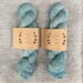 Beach Glass ~ Lichen and Lace Hand Dyed Yarn