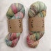 Wild Flowers ~ Lichen and Lace Hand Dyed Yarn