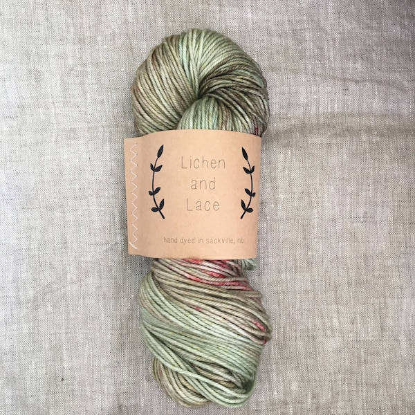 Sea Grass ~ Lichen and Lace Hand Dyed Yarn