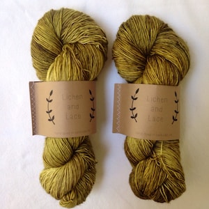 Shrub ~ Lichen and Lace Hand Dyed Yarn