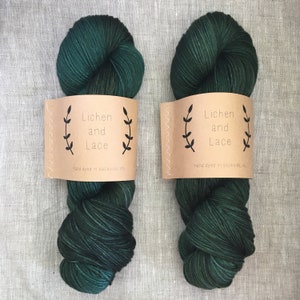 Evergreen ~ Lichen and Lace Hand Dyed Yarn