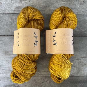 Amber ~ Lichen and Lace Hand Dyed Yarn