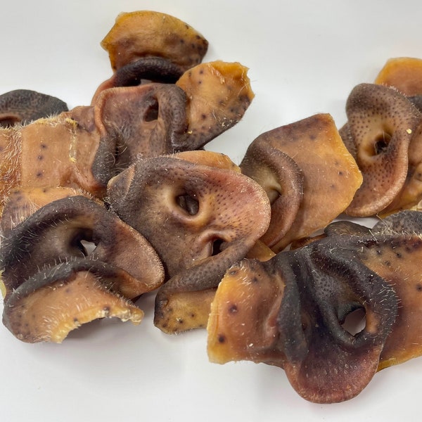 Hog, pig Snout Dog Treat Dog chew All-natural dog treat, assorted shapes and sizes